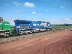 RUMO 9877
